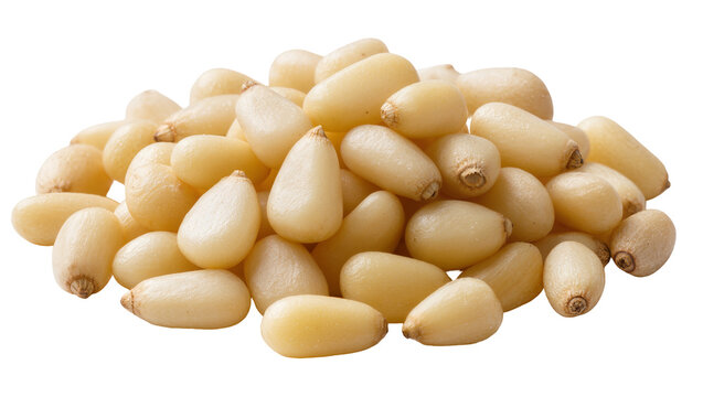 Isolated pile of fresh delicious and healthy shelled pine nuts ready for cooking or snacking