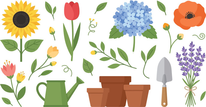 Gardening tools and colorful flowers set including sunflower tulip hydrangea and poppy