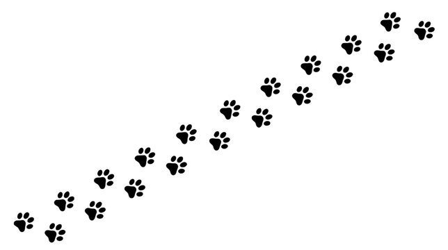 Black animal paw prints in a diagonal line on white background