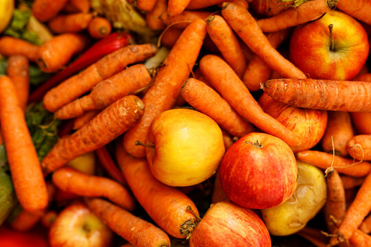 Harvested organic carrots and ripe apples make a healthy food combination