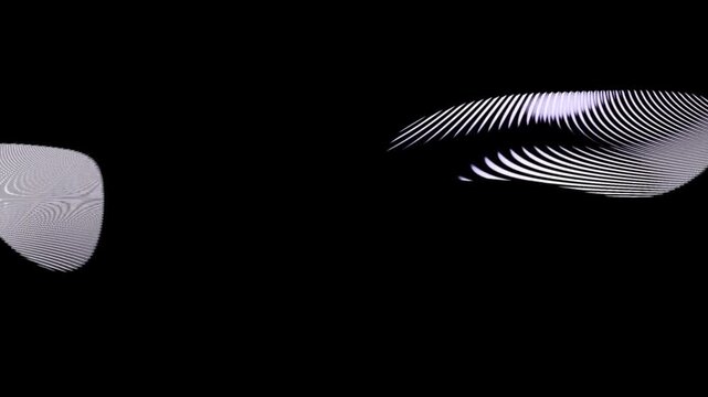 Abstract Organic Wave Shapes with Moire Line Pattern on Black and White Background Loop