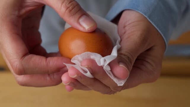 Hands Cleaning a Fresh Brown Egg with Tissue Before Storage