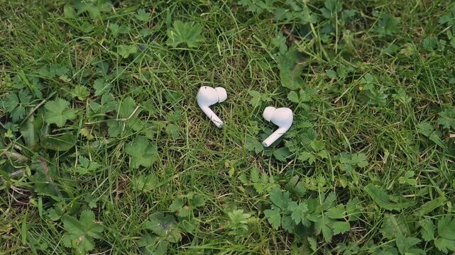 Two pairs of wireless earbuds rest on the green grass surrounded by small plants. This moment captures the discovery of lost audio devices in a natural setting