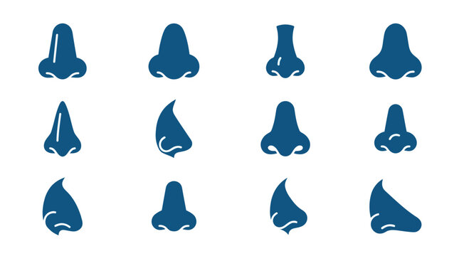 Minimal flat vector icon set featuring 12 nose variations: straight nose, round nose, small nose, wide nose, pointed nose, side profile nose, nostril view, button nose, hooked nose, flat nose