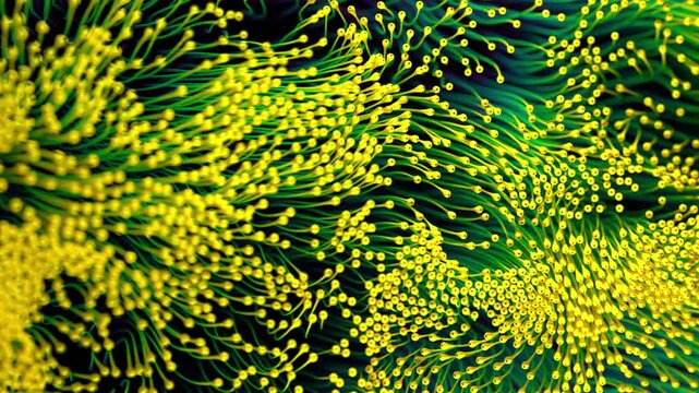 Yellow green algae swaying underwater