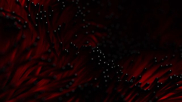 Red algae swaying in underwater currents