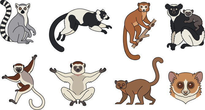 Lemur Cartoon Vector Set with Sitting, Jumping, Climbing, and Walking Poses for Wildlife, Nature, and Animal Themed Designs