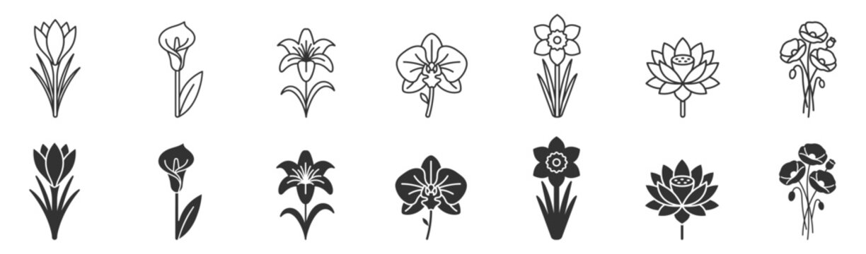 set of line and solid flower icons including crocus calla lily lily orchid daffodil lotus and poppy on transparent background