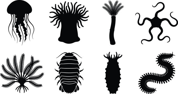 Marine Invertebrate Silhouette Vector Collection Featuring Jellyfish Coral Polyps Worms and Ocean Life Icons
