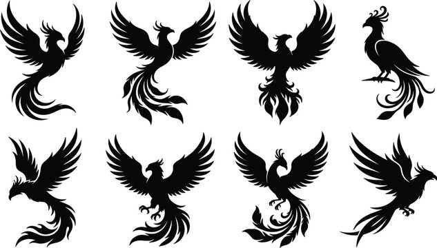 Phoenix Bird Silhouette Vector Set with Mythical Flying Firebird Collection