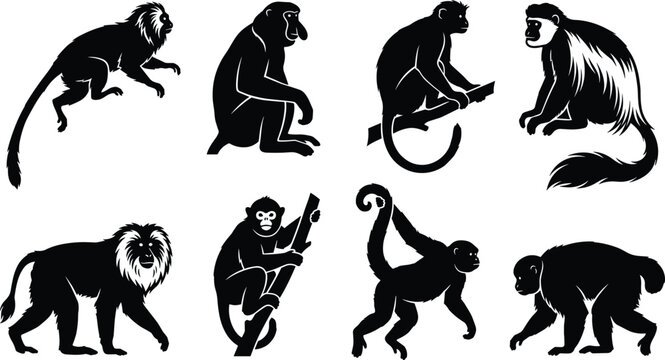 Primate Silhouette Vector Bundle Featuring Langur Macaque Monkey and Colobus Natural Wildlife Pose Collection