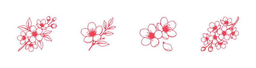 Fototapeta premium Cherry blossom illustrations, sakura illustrations, Japanese flower set, group 