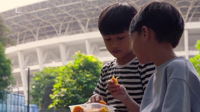 Older Brother Making a Silly Face to His Younger brother during a Picnic in the Park, while happily eating fresh mango slices