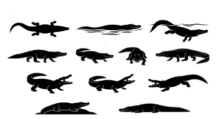 Fototapeta premium Set of black silhouette crocodiles in various poses including swimming and walking isolated on white background for wildlife design project elements vector illustration collection of reptile predators