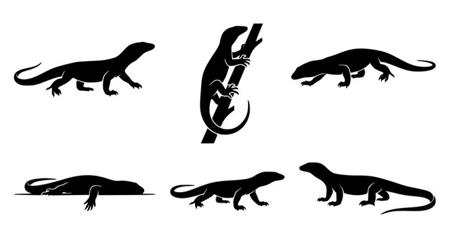 Collection of lizard silhouettes including monitor lizards in various climbing and resting poses for wildlife graphic design and educational projects in professional black vector style on white