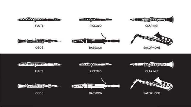 Woodwind Instruments Icons Set For Music Education Concepts
