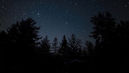 Fototapeta premium Winter pine forest shown in dark silhouette against starry backdrop