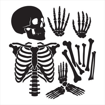 Halloween-Skeleton Silhouette Icon Set Skull, Rib Cage, Hand Bones, Foot Bones, Arm Bones, Leg Bones, Anatomy Vector Collection