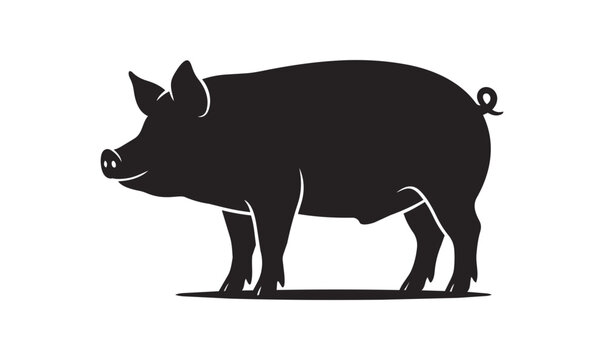 Silhouette of a Pig Standing Proudly.