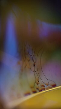 Vertical microfluidic network with delicate liquid strands and pastel blue glow. Abstract vertical macro footage of an intricate fluid lattice. Fine, hair-like liquid strands stretch vert
