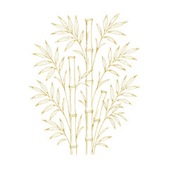 Fototapeta premium PNG Elegant bamboo sketch on white.