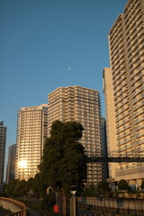 Naklejka premium 夕日に染まるマンション群