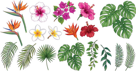 Tropical vector floral elements collection with colorful hibiscus flowers bird of paradise monstera and palm leaves isolated (17 words) © MdEajdani