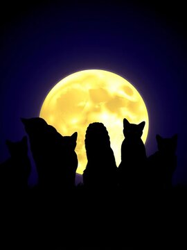 Silhouette of multiple black cats against a bright full moon, dark, animals