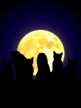 Silhouette of multiple black cats against a bright full moon, dark, animals