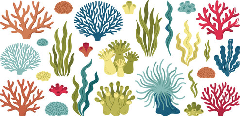 Underwater coral reef vector elements set with colorful sea plants seaweed anemone polyps isolated on white background © MdEajdani
