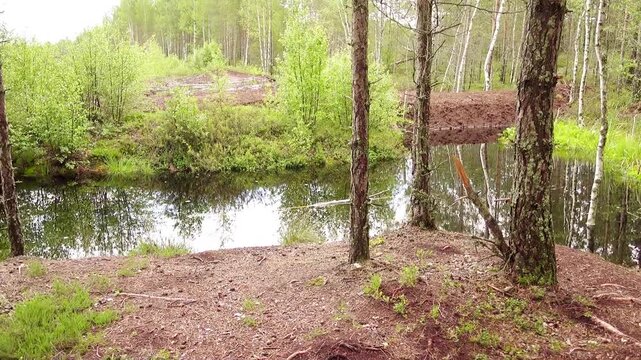 Two little beautiful girls walk on swamp, Estonia