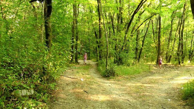 little sisters walking in summer park