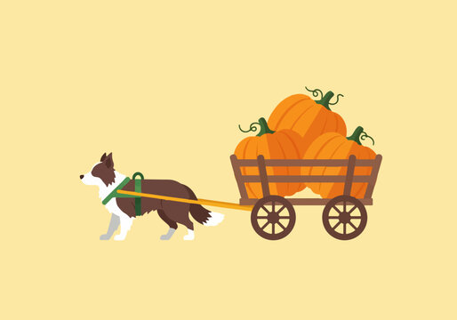Dog pulling a cart with pumpkins on a light background