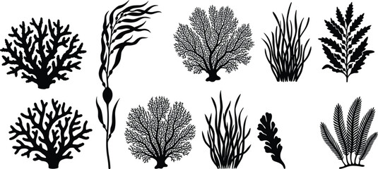 Black seaweed and coral silhouette icons set isolated on a white background for marine designs © Mokshad Ali
