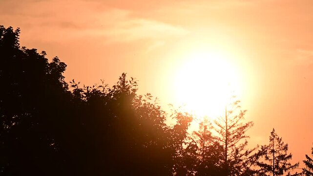 majestic sunrise bokeh slowmo video close up