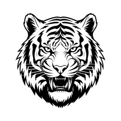 Fototapeta premium Tiger Face Closeup Black White Illustration.