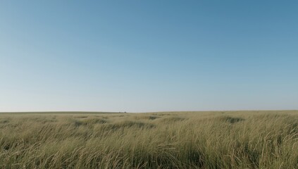 Fototapeta premium Expansive grassland under a clear blue sky
