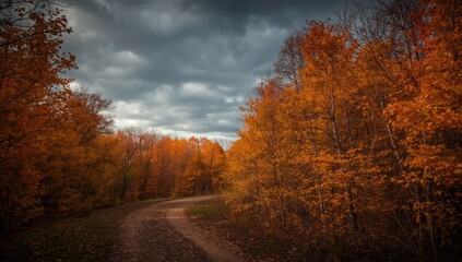 Fototapeta premium Vivid fall forest with curved dirt trail flanked by orange and yellow leaves and a dark moody sky