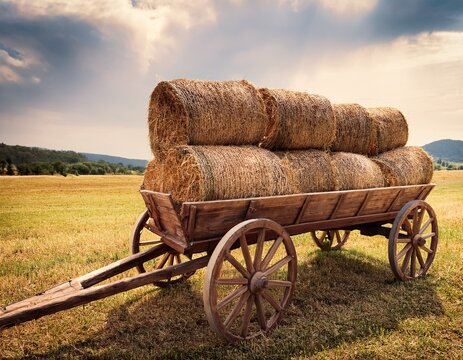hay bales in a wooden wagon