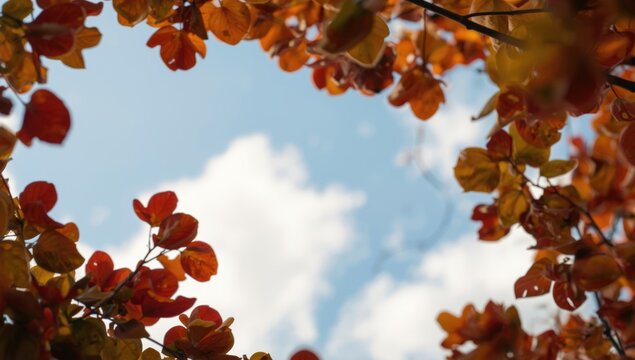 warm toned autumn backdrop featuring aerial shot of crinkled platanus leaves