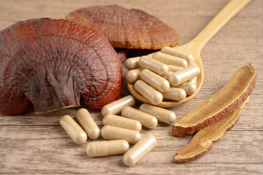 Lingzhi or Reishi mushroom with capsules, organic natural healthy food.