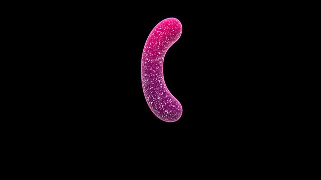 Floating Pink Jelly Candy Left Parenthesis Symbol Loop on Alpha Background