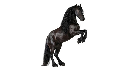 Horse with glossy black coat and flowing mane rearing up on hind legs captured as a PNG on a transparent background © Inkartia
