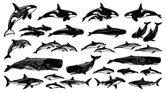 Collection of various marine mammals and sharks in black silhouette on white background