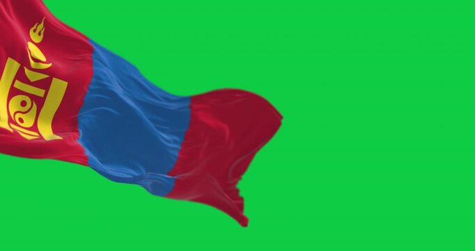 Mongolia national flag waving in the wind isolated on green background
