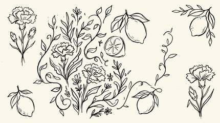 Fototapeta premium Grunge charcoal or chalk drawing of a spring summer flower collection with lemons