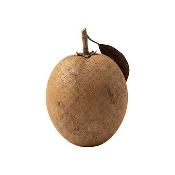 Single whole fresh ripe sapodilla fruit with stem and leaf isolated on a pure white background