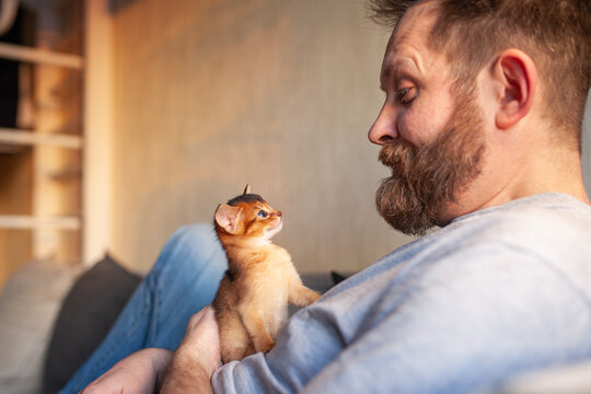 Bearded man and small Abyssinian kitten looking at each other with love and connection. Companionship, tenderness, emotional support, and joy of pet ownership.