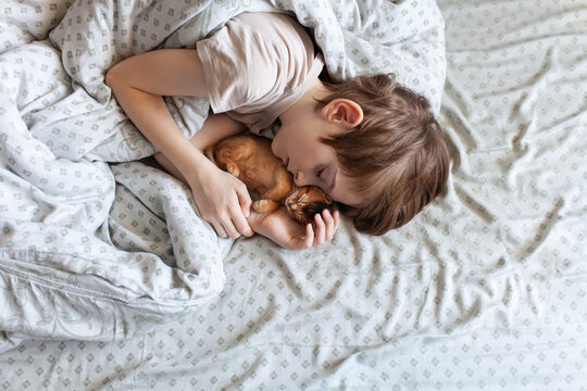Young boy sleeping in bed while cuddling small ginger kitten. Friendship, comfort, childhood innocence, and deep emotional bond between child and pet.