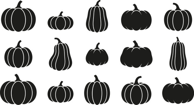 Set of black pumpkin silhouettes showing different shapes and sizes for autumn harvest design